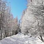 Lo Miete Di Nonni ベッド・アンド・ブレックファスト