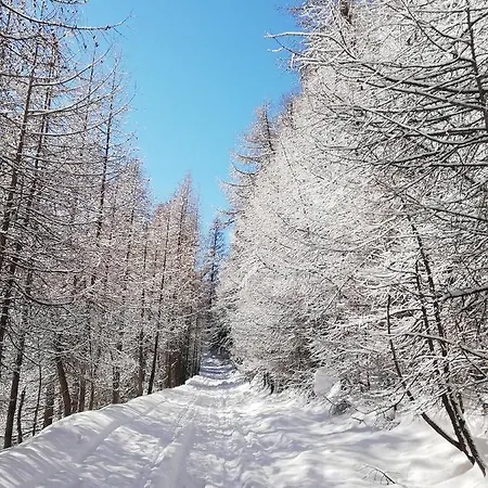 Lo Miete Di Nonni Bed & Breakfast