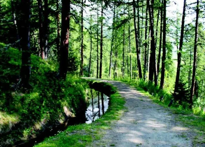 Lo Miete Di Nonni B&B 샴폴루크