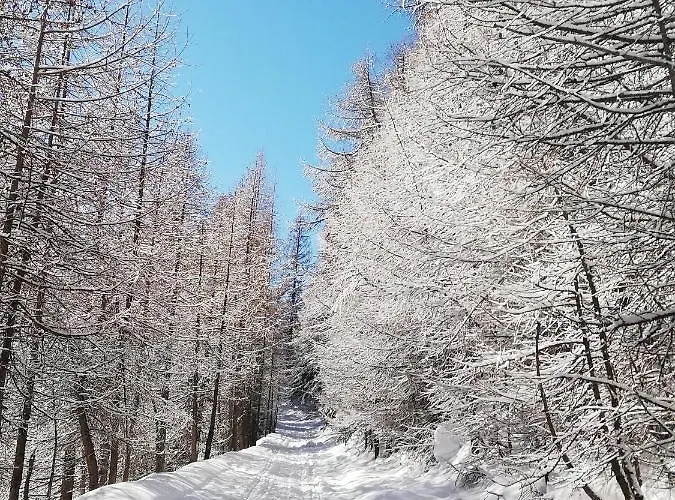 Lo Miete Di Nonni B&B